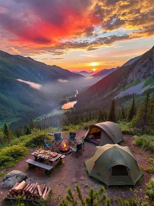 : A large group of travelers enjoying a night bonfire and music at one of the top stranger camps in Kerala, highlighting the community meetup experience.
