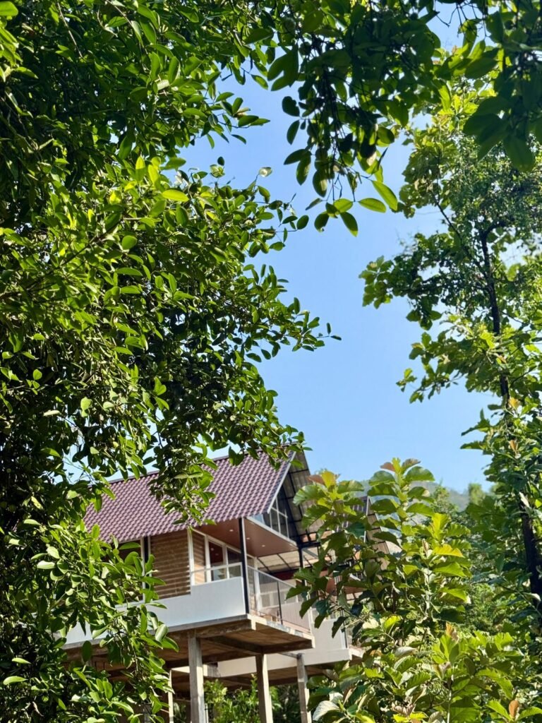 Best luxury stays